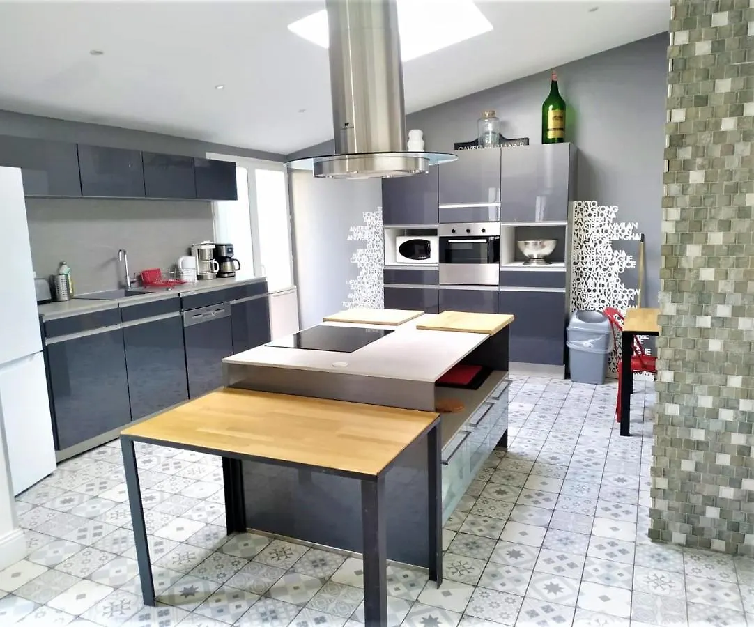 - Le Loft - Villa Avec Jardin A Toulouse Apartment
