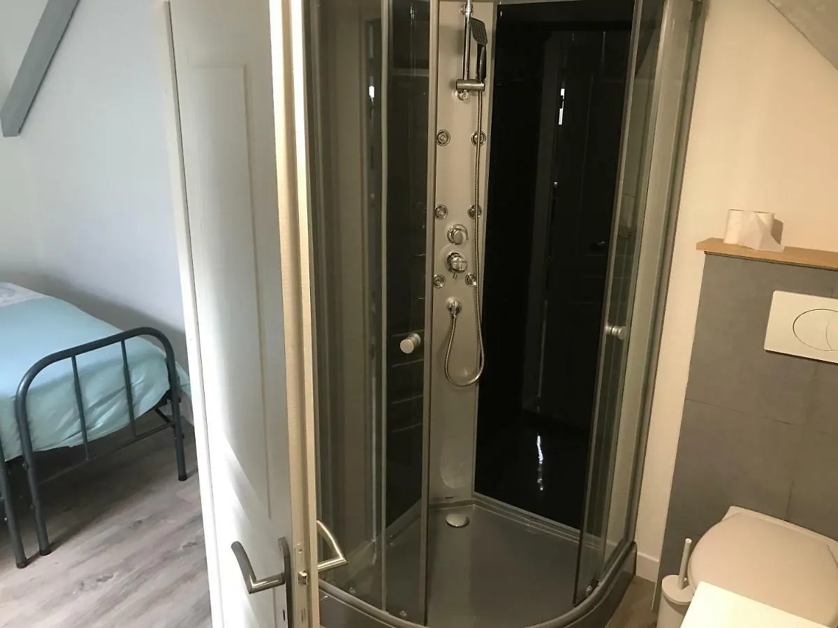 - Le Loft - Villa Avec Jardin A Toulouse France