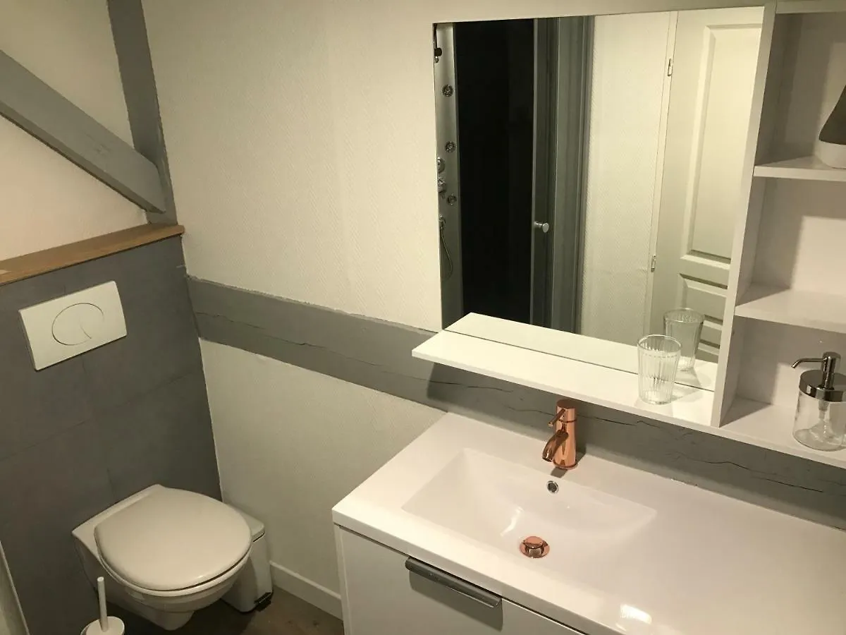 Apartment - Le Loft - Villa Avec Jardin A Toulouse