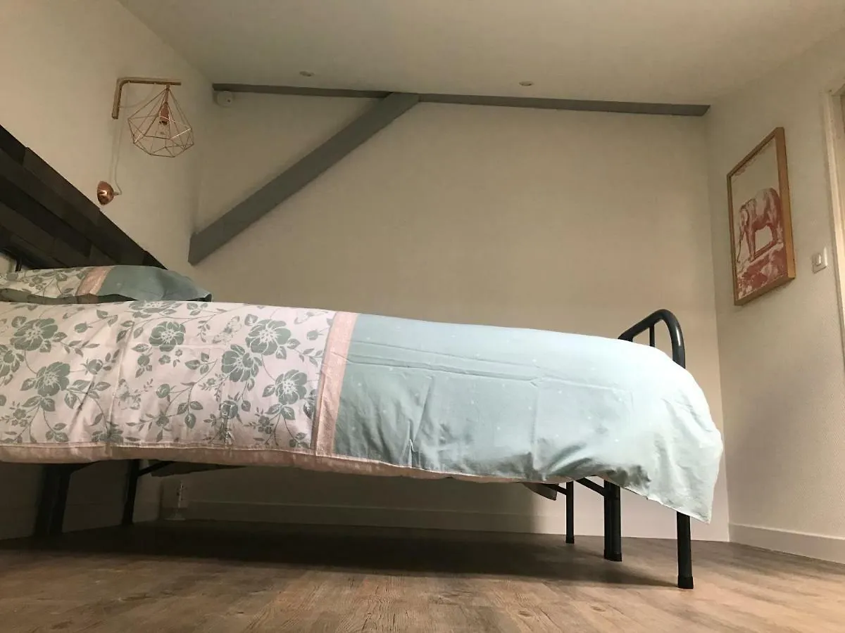 - Le Loft - Villa Avec Jardin A Toulouse 0*,