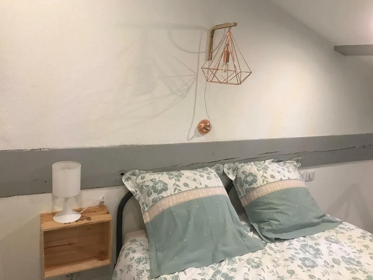 Apartment - Le Loft - Villa Avec Jardin A Toulouse France