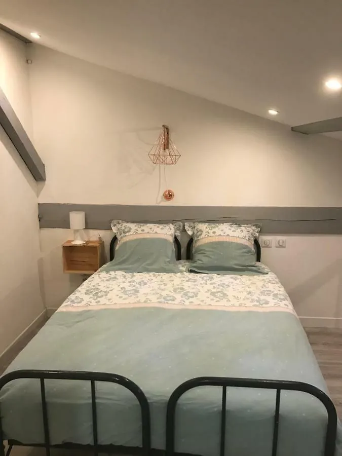 - Le Loft - Villa Avec Jardin A Toulouse 0*,  France