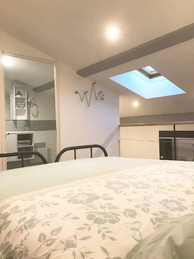 - Le Loft - Villa Avec Jardin A Toulouse Apartment