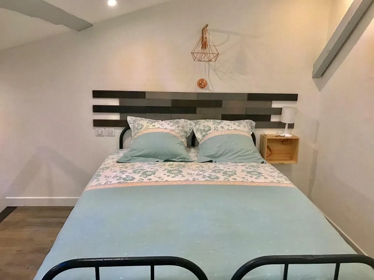 - Le Loft - Villa Avec Jardin A Toulouse
